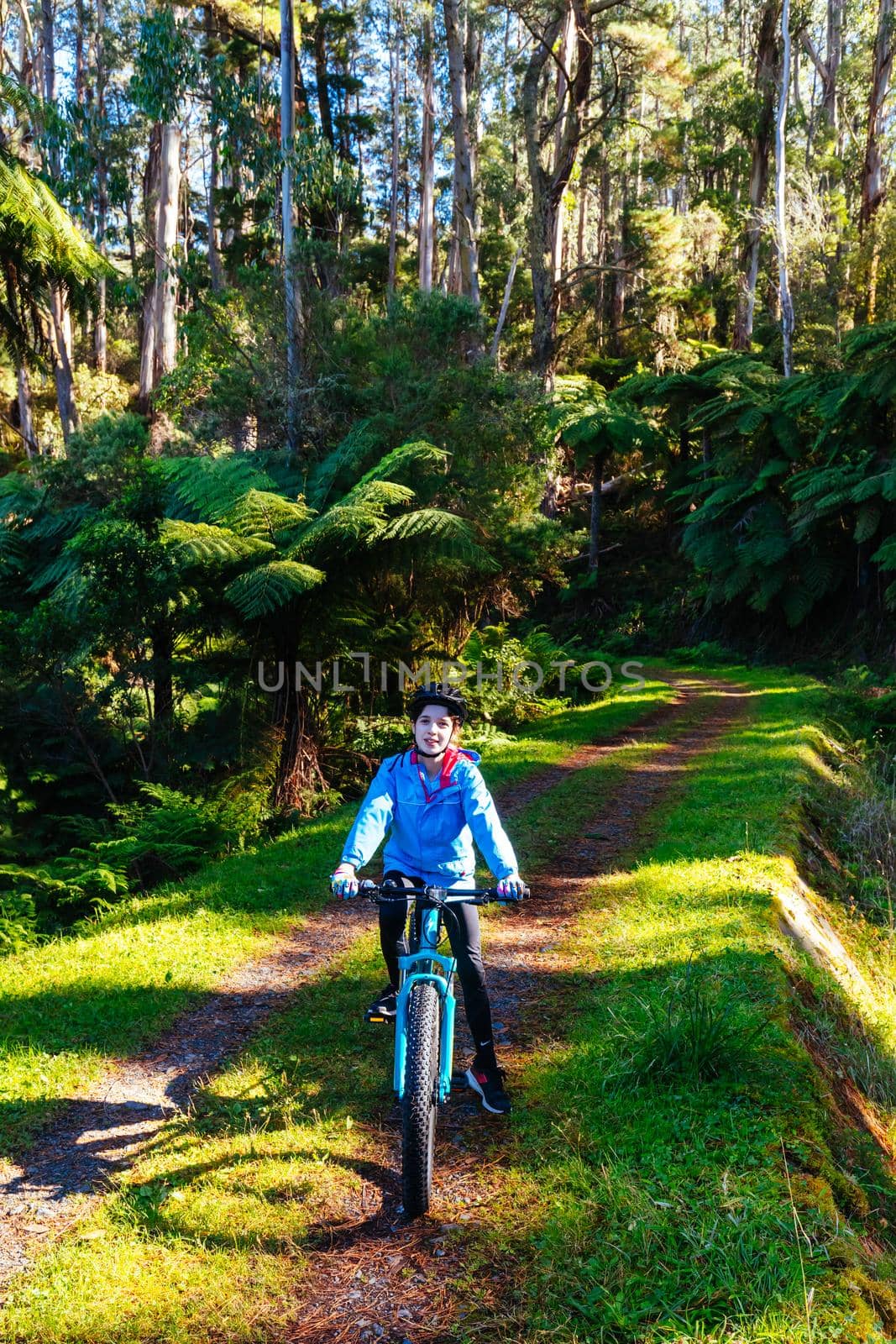 The popular O'Shannassy Aqueduct Trail for bikers and hikers on a cool autumn morning near Warburton in Victoria, Australia