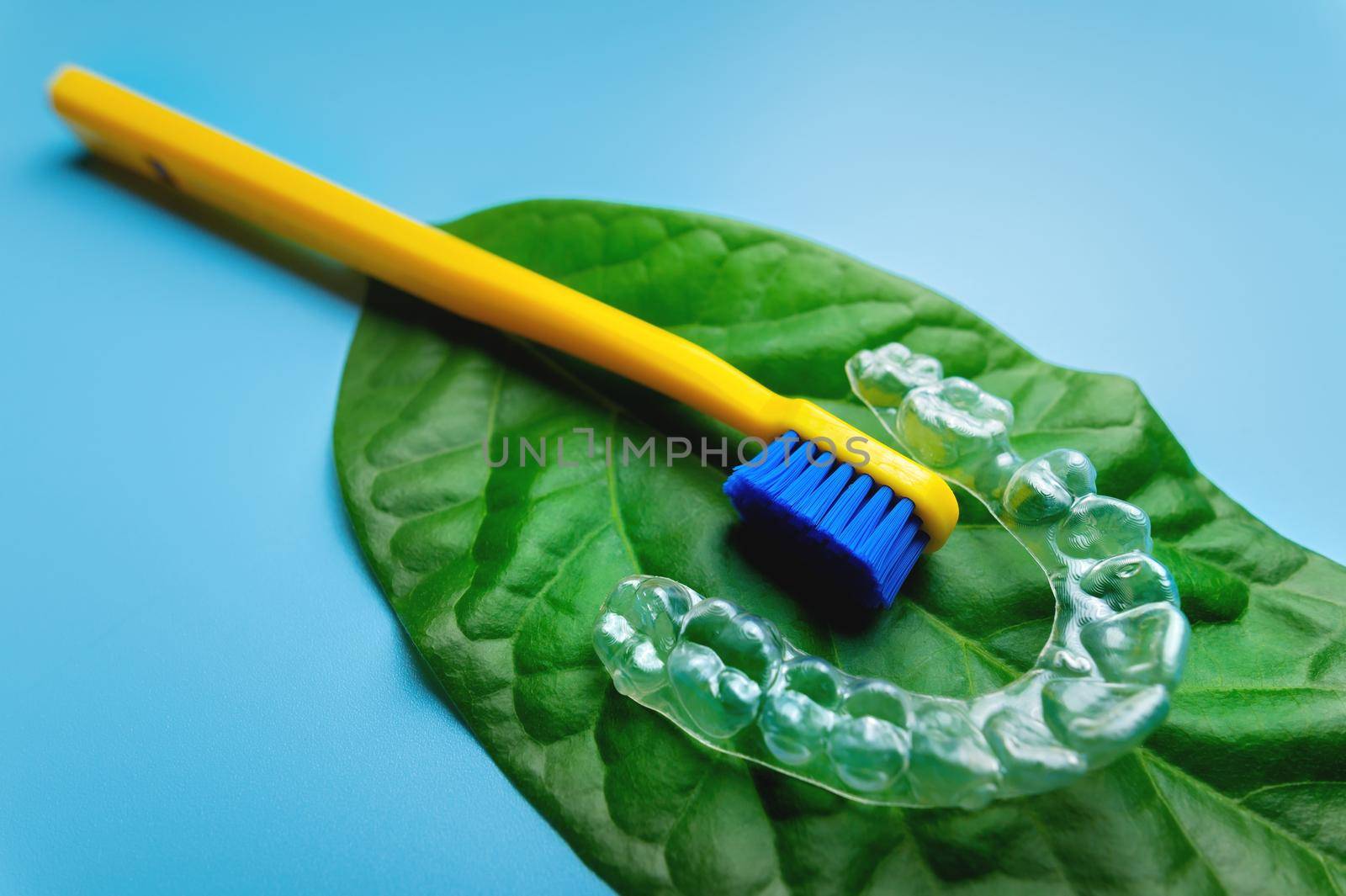 a transparent plastic aligner with a new toothbrush lie on a green fresh leaf, on a blue background.