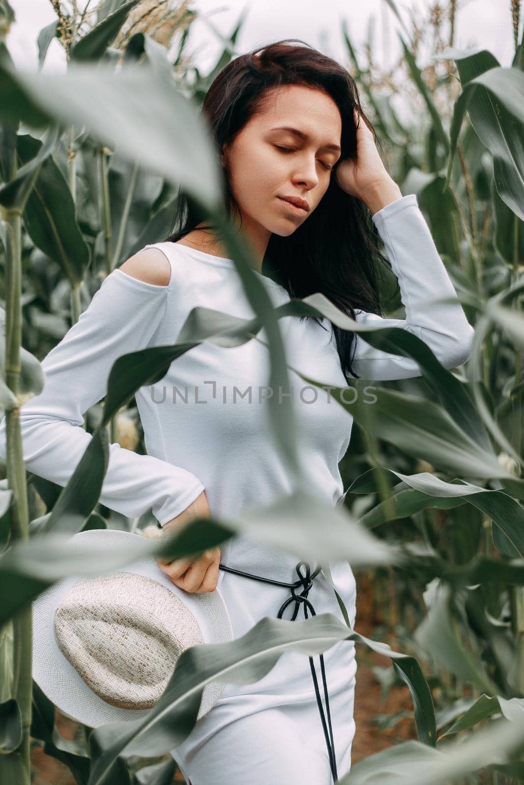 A brunette girl in a white dress in a cornfield. The concept of harvesting.