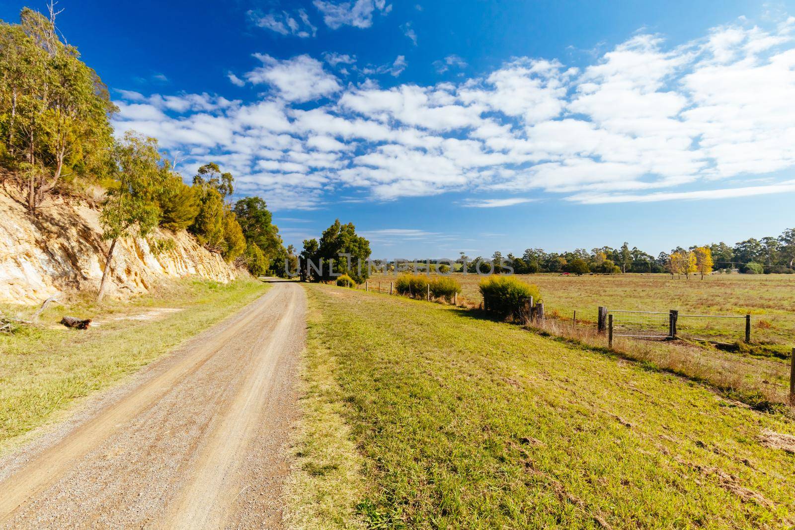 The popular Lilydale to Warburton Rail Trail in Mt Evelyn on a warm autumn day in Victoria, Australia