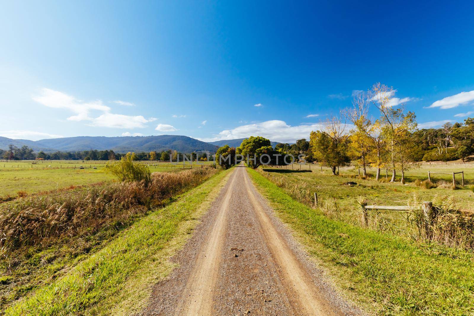 The popular Lilydale to Warburton Rail Trail in Mt Evelyn on a warm autumn day in Victoria, Australia
