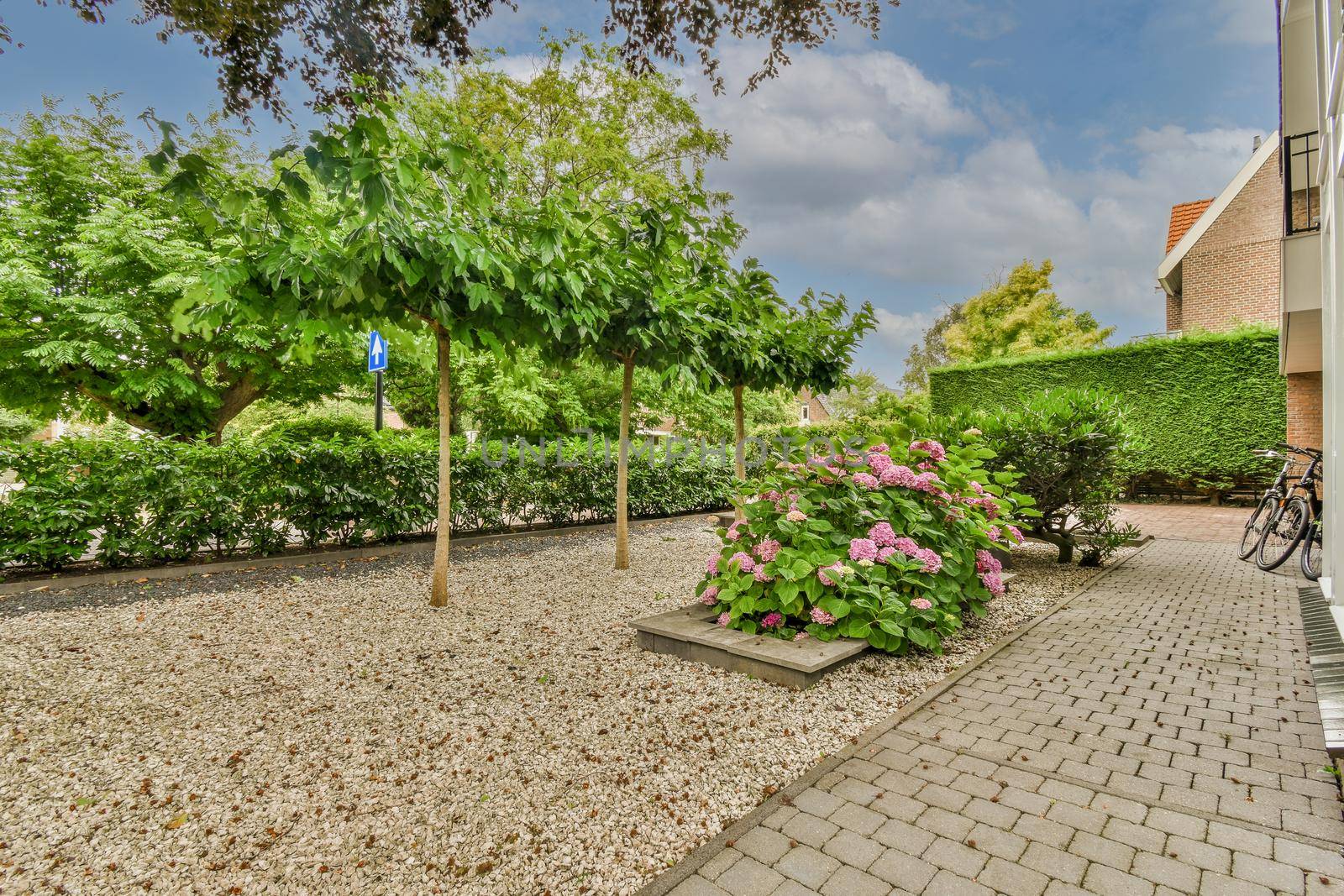 View of street near building with beauty of vegetation outside