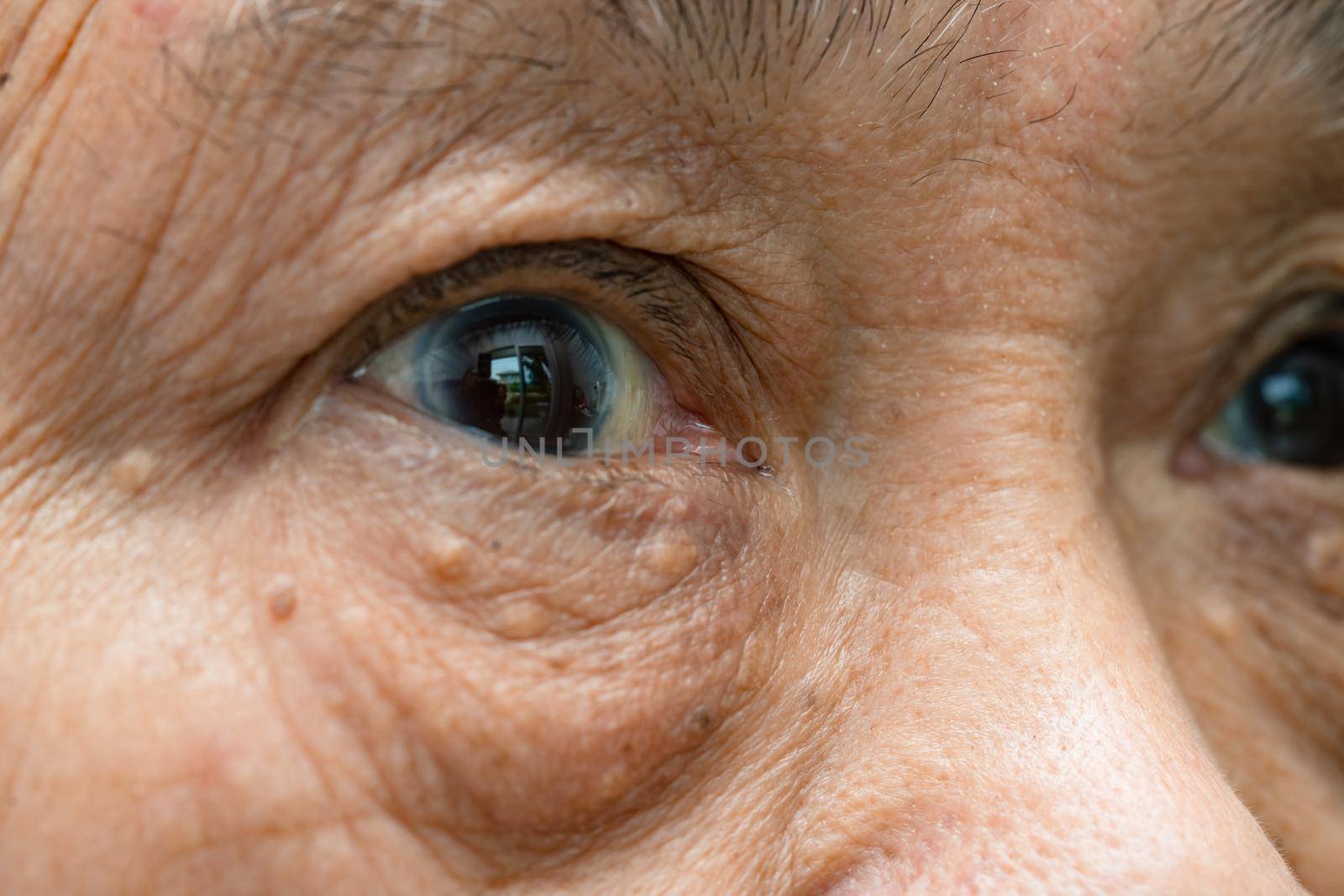 Asian elderly woman face and eye with wrinkles, portrait closeup view. by pamai