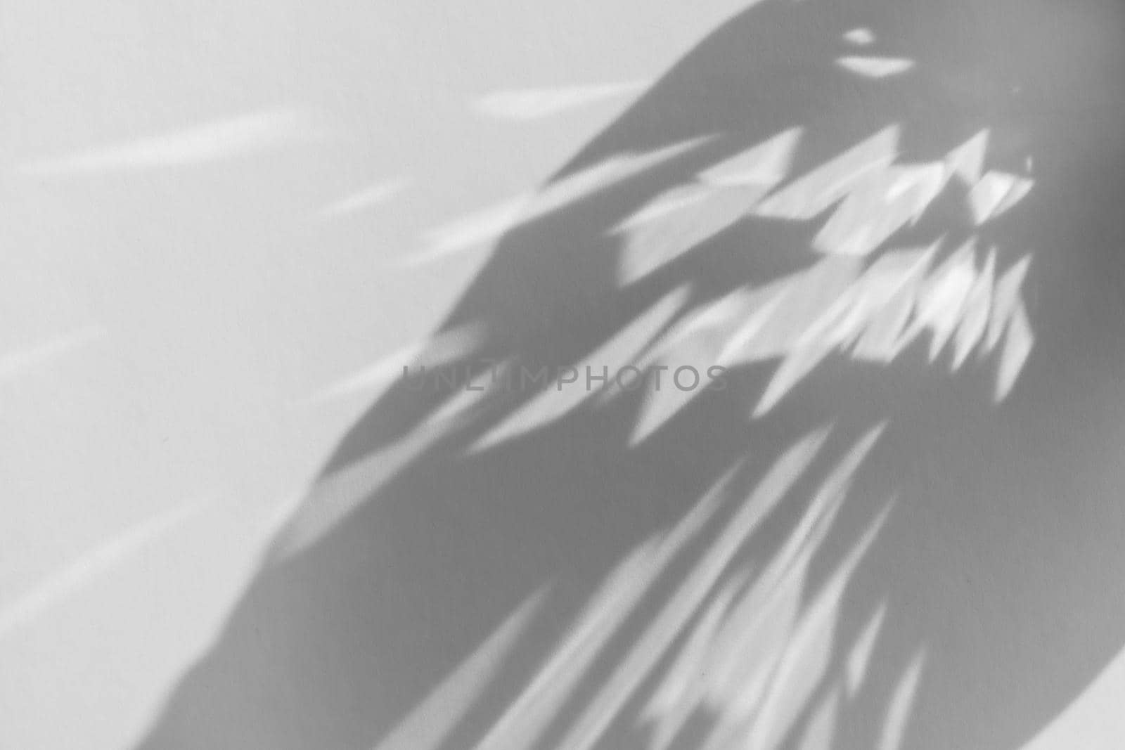 Shadow and light refraction on white wall overlay photo effect, sun rays refracting through glass and prism, blurred caustic effects. Natural light refraction silhouette on blank surface mockup.