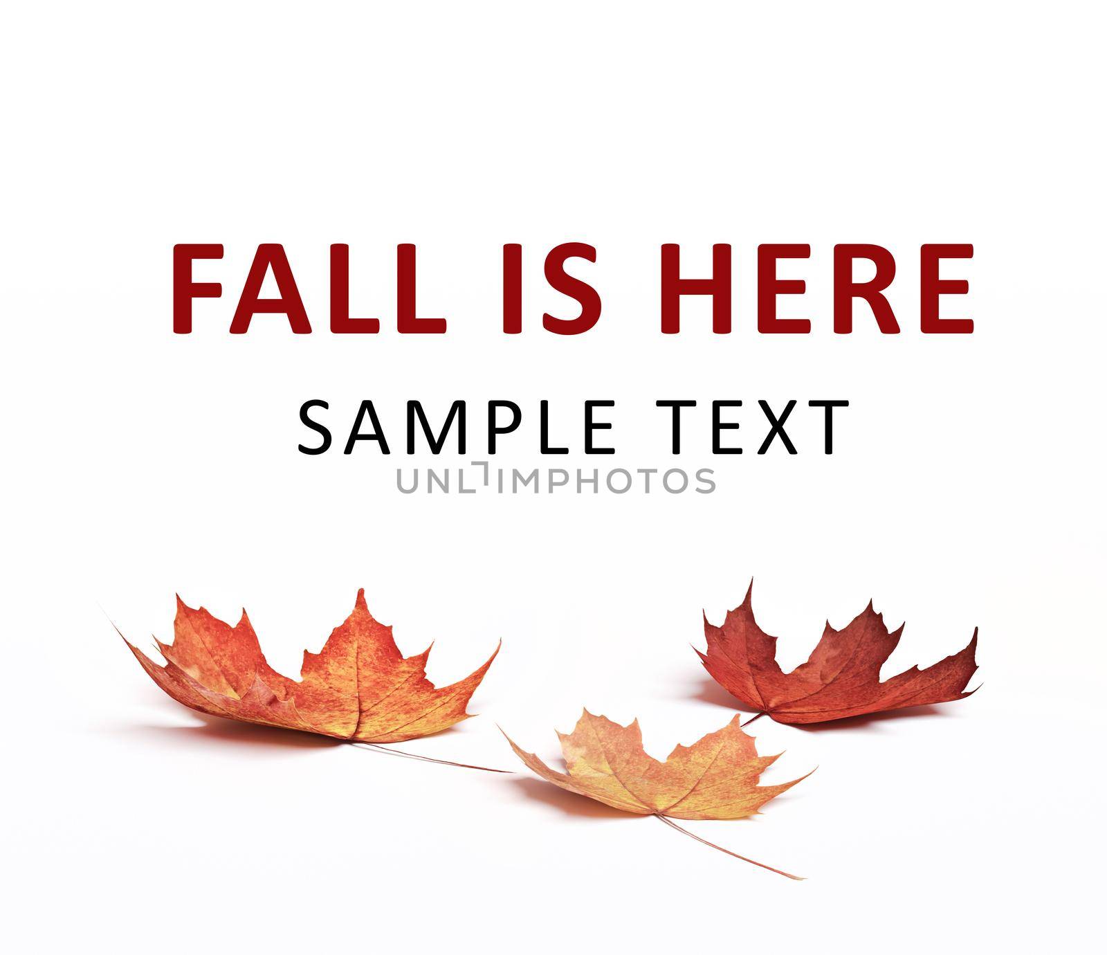 Autumn leaves lie on a white floor. Fall composition with colorful leaves and copy space for Autumn Sale or poster.