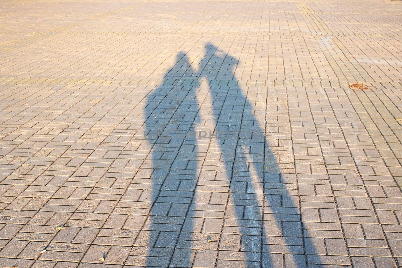 Two shadows of people on the sidewalk close up