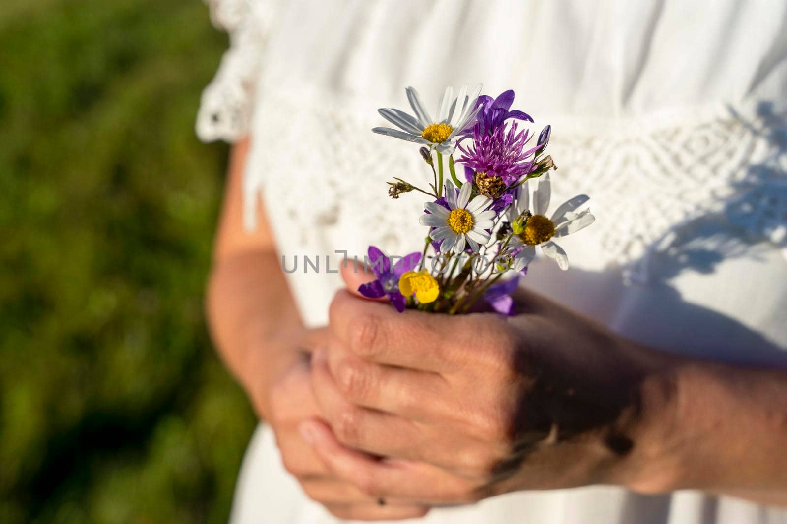 an unrecognizable woman in a white dress holds a small bouquet of wildflowers in her hands. a woman's hands hold wildflowers