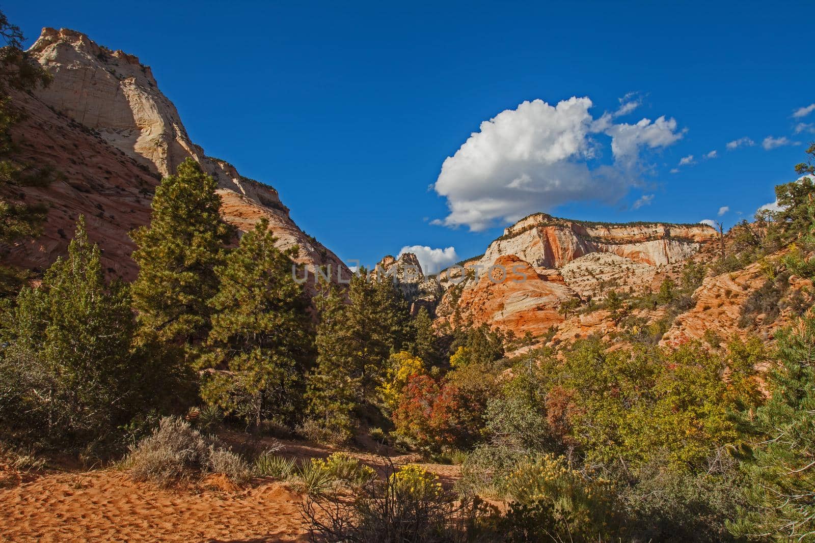 Zion National Park Landscape from Zion Park Boulevard near Springdale. Utah