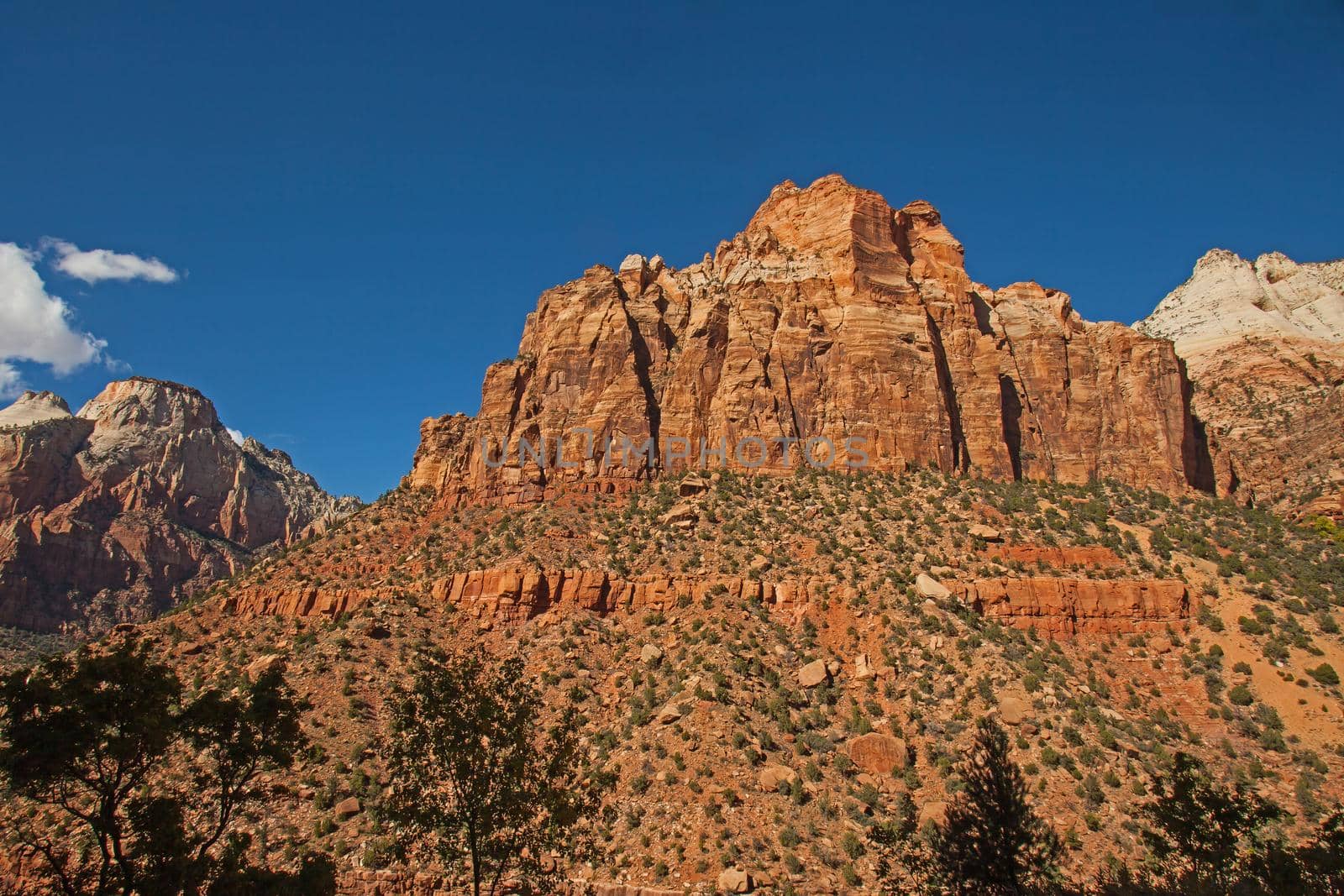 Zion National Park Landscape from Zion Park Boulevard near Springdale. Utah