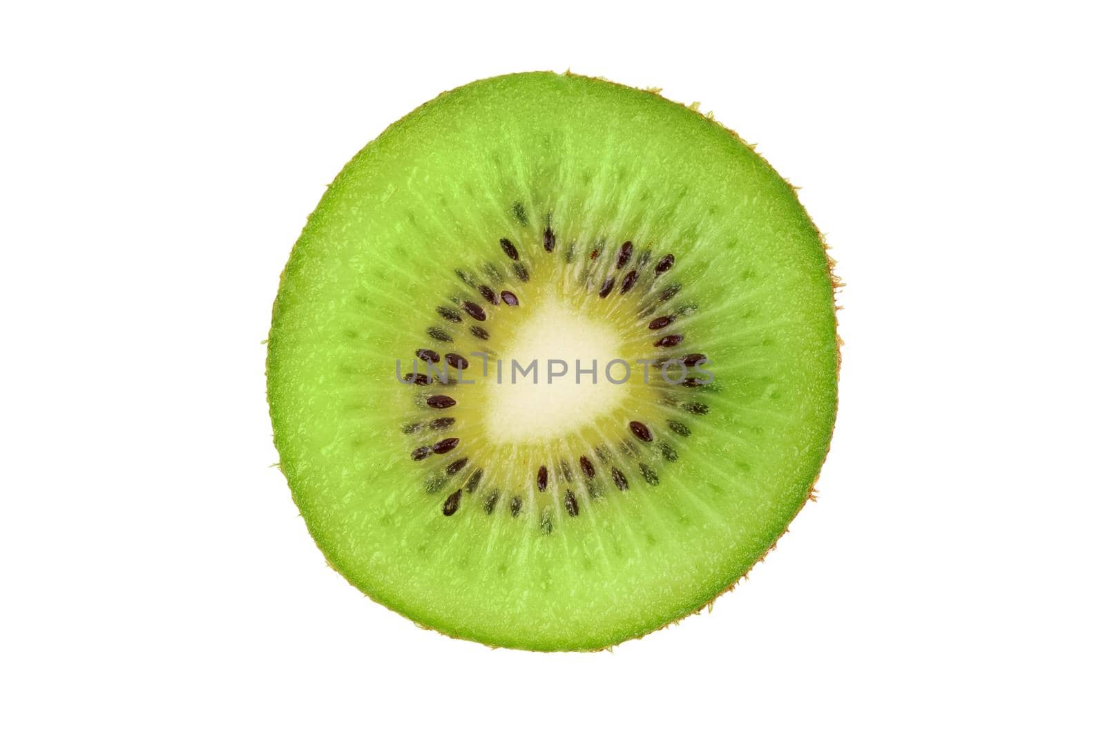 Ripe fresh juicy single qiwi fruit close up. Closeup slice of one green kiwi fruit isolated on white background. Macro, studio shot.