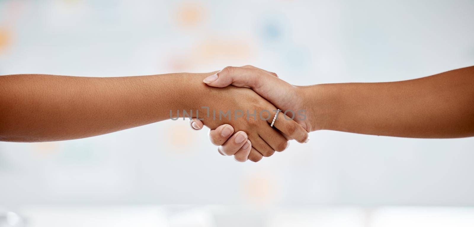 Handshake for support and partnership success, collaboration in team meeting and welcome employee to startup company. Thank you after corporate deal and interview with business manager at office.