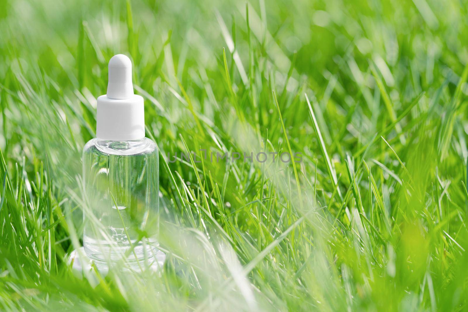 Transparent glass bottle with serum, essential oil, anti aging collagen cosmetic beauty product among the green grass field. Natural organic cosmetic by photolime