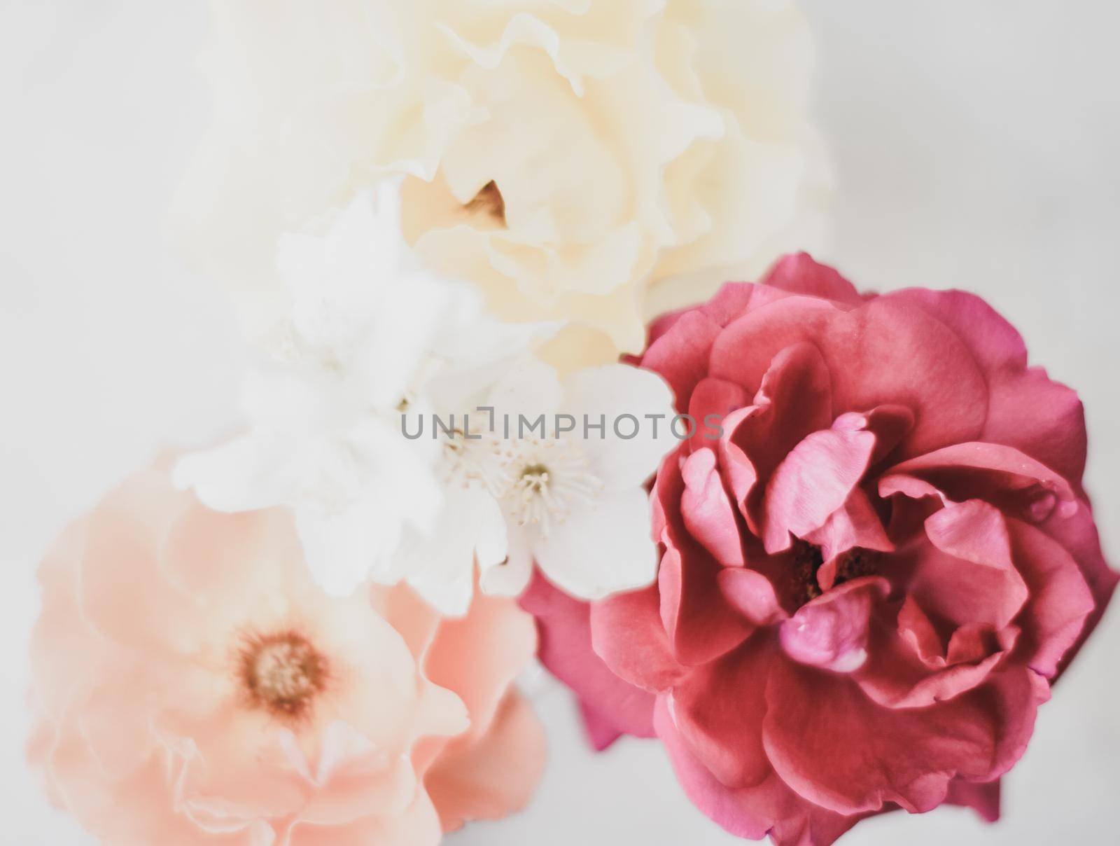 Wedding decor, floral background and beautiful home garden concept - Vintage roses on marble