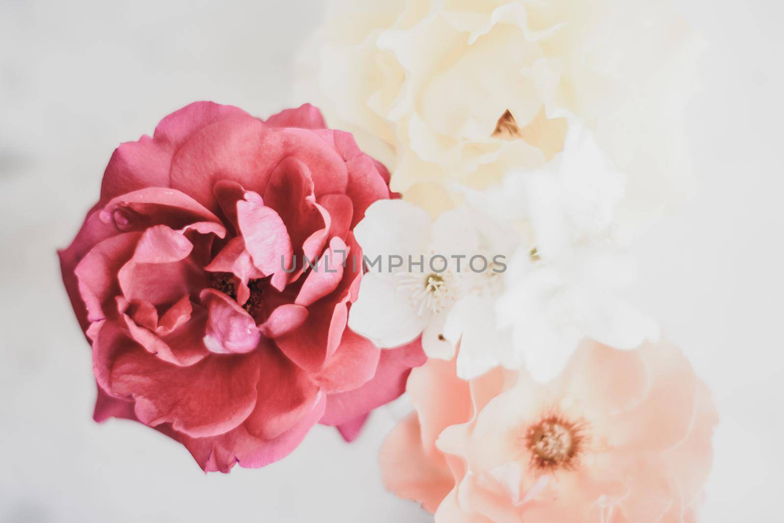 Wedding decor, floral background and beautiful home garden concept - Vintage roses on marble