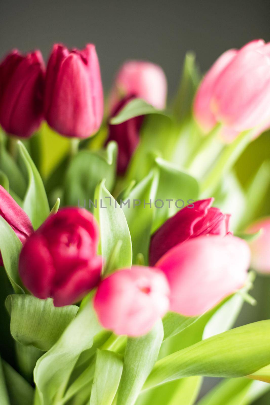 Flowers, spring holidays and home decor concept - Bouquet of beautiful tulips, floral background