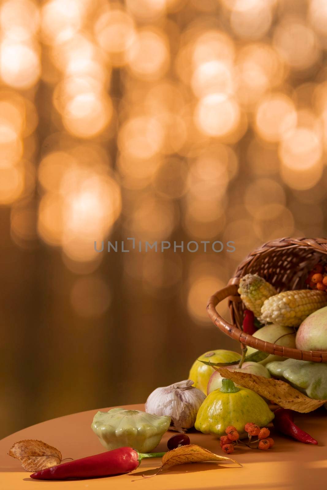 Autumn composition with a basket of apples, squash, peppers on the background of an autumn bokeh. Autumn harvest concept.