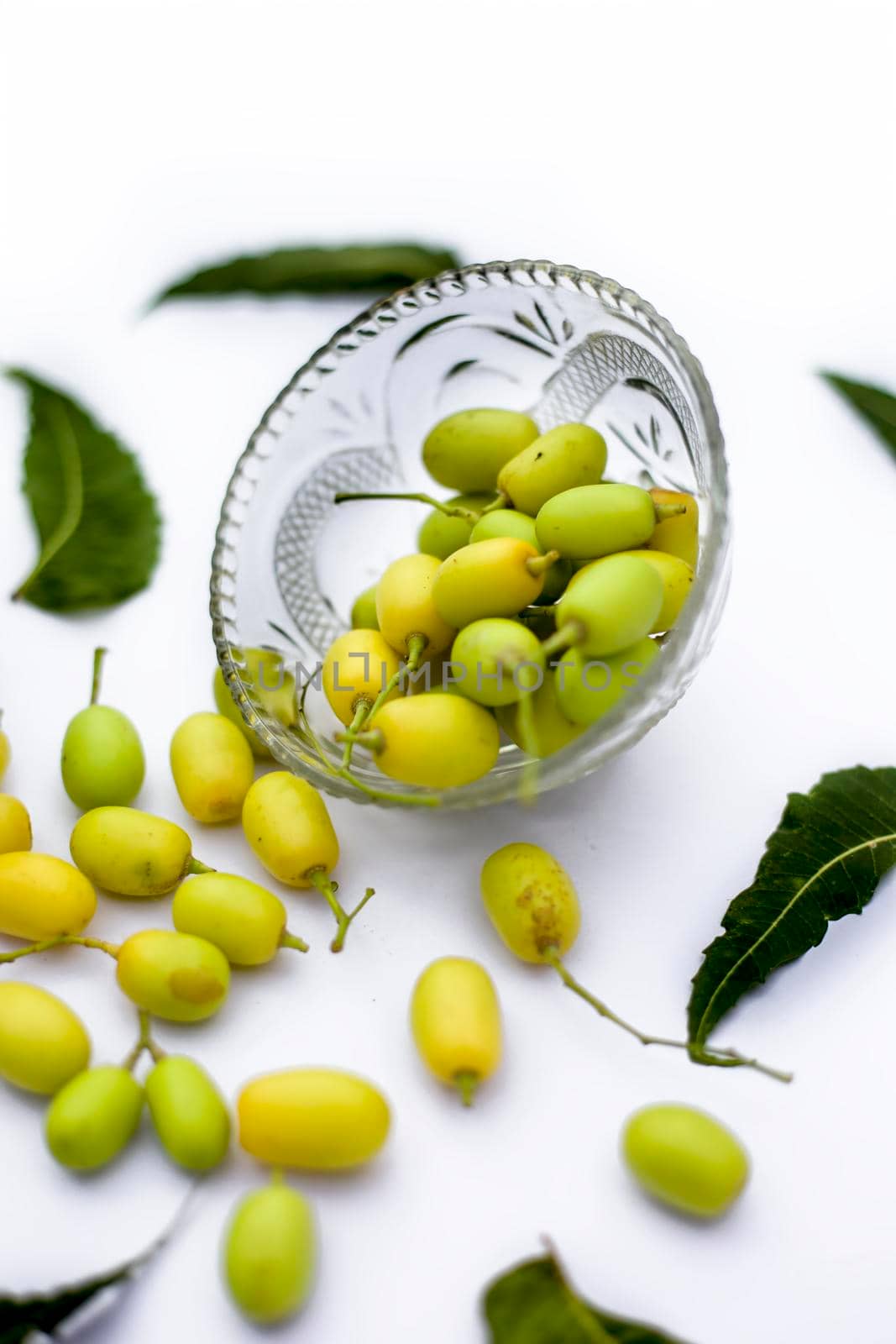 Neem fruit or nim fruit or Indian lilac fruit in a glass bowl isolated on white along with some fresh leaves also.