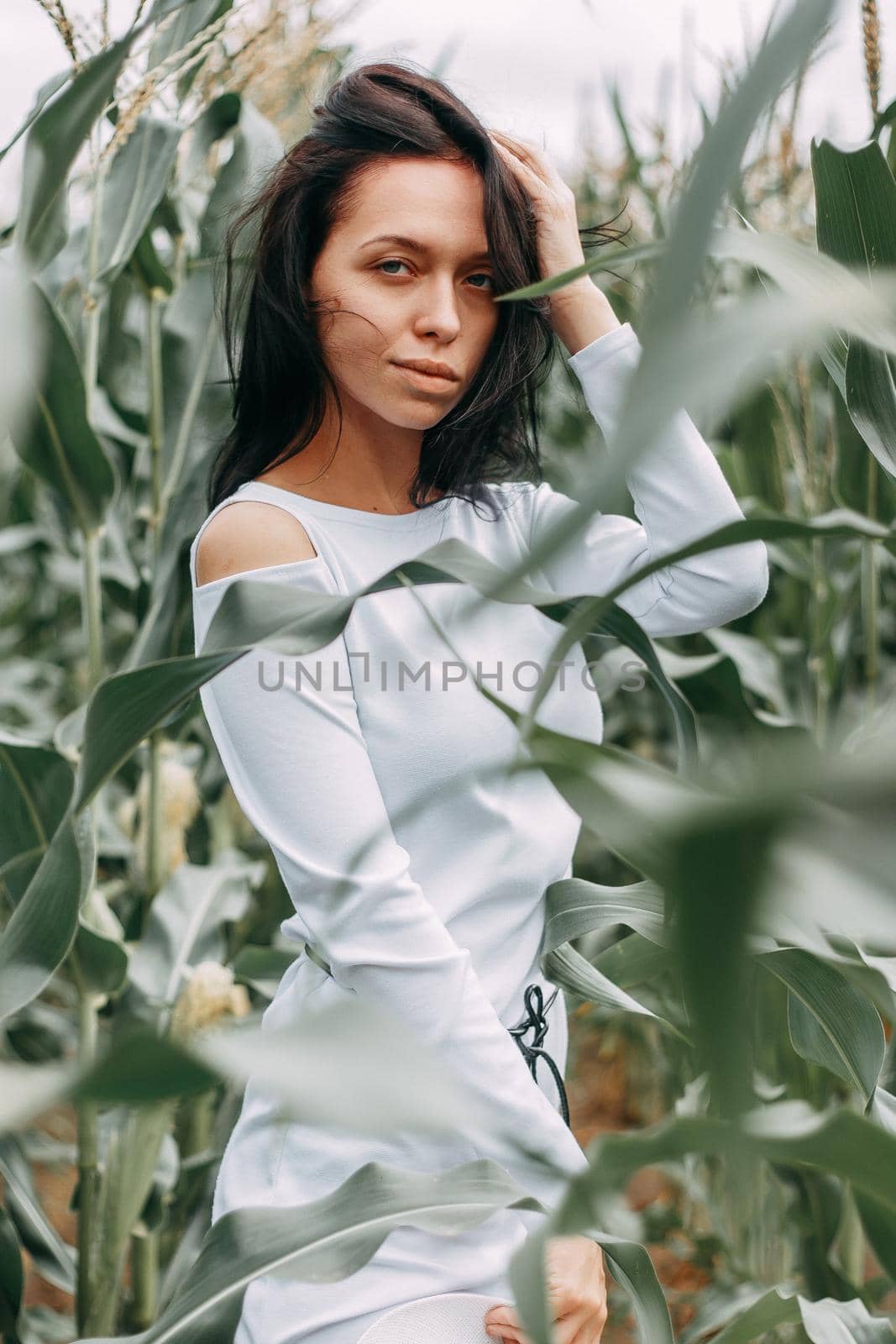A brunette girl in a white dress in a cornfield. The concept of harvesting.
