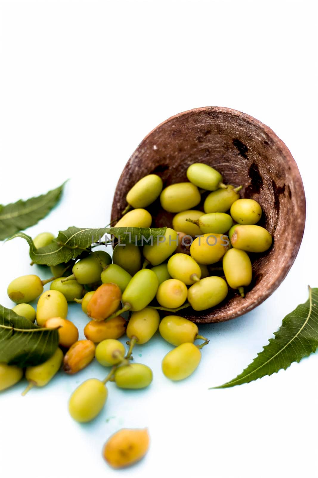 Neem fruit or nim fruit or Indian lilac fruit in a clay bowl isolated on white along with some fresh leaves also.Vertical shot.