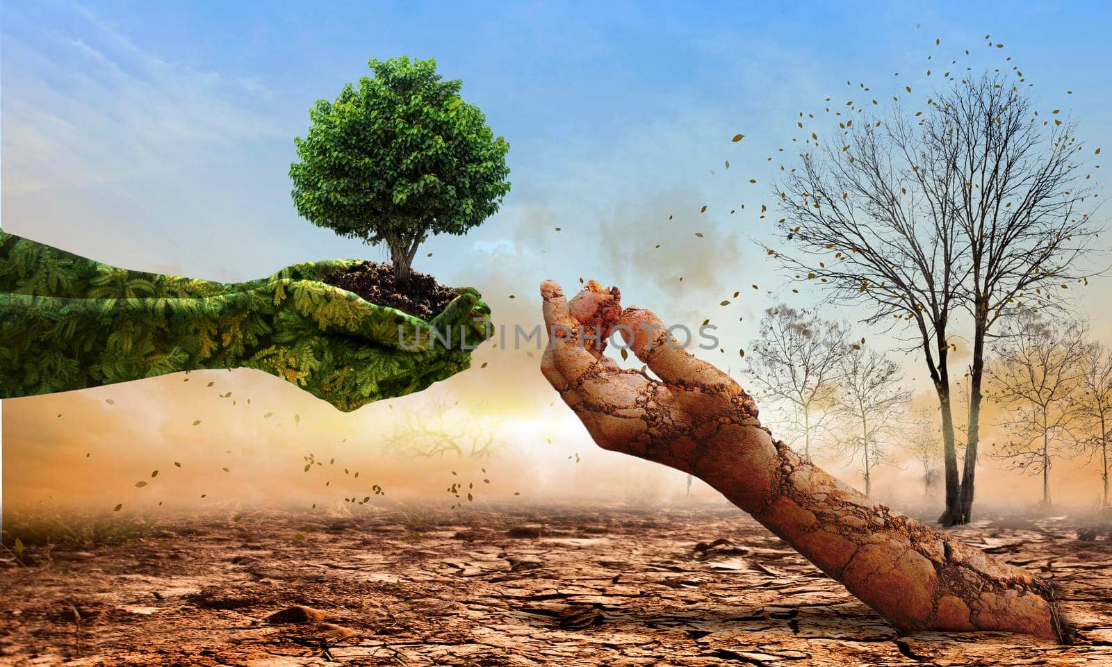 Green hands holding tree growing and dry soil hand on crack earth. Saving environment and natural conservation concept.