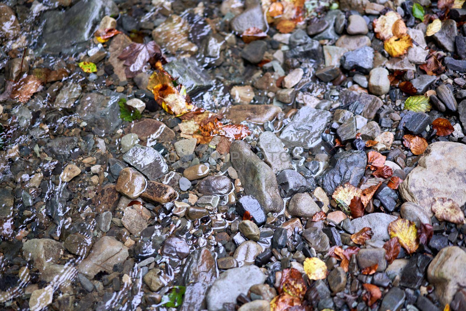 colourful wet pebble stone in stream water with autumn falling leaf background by andreonegin