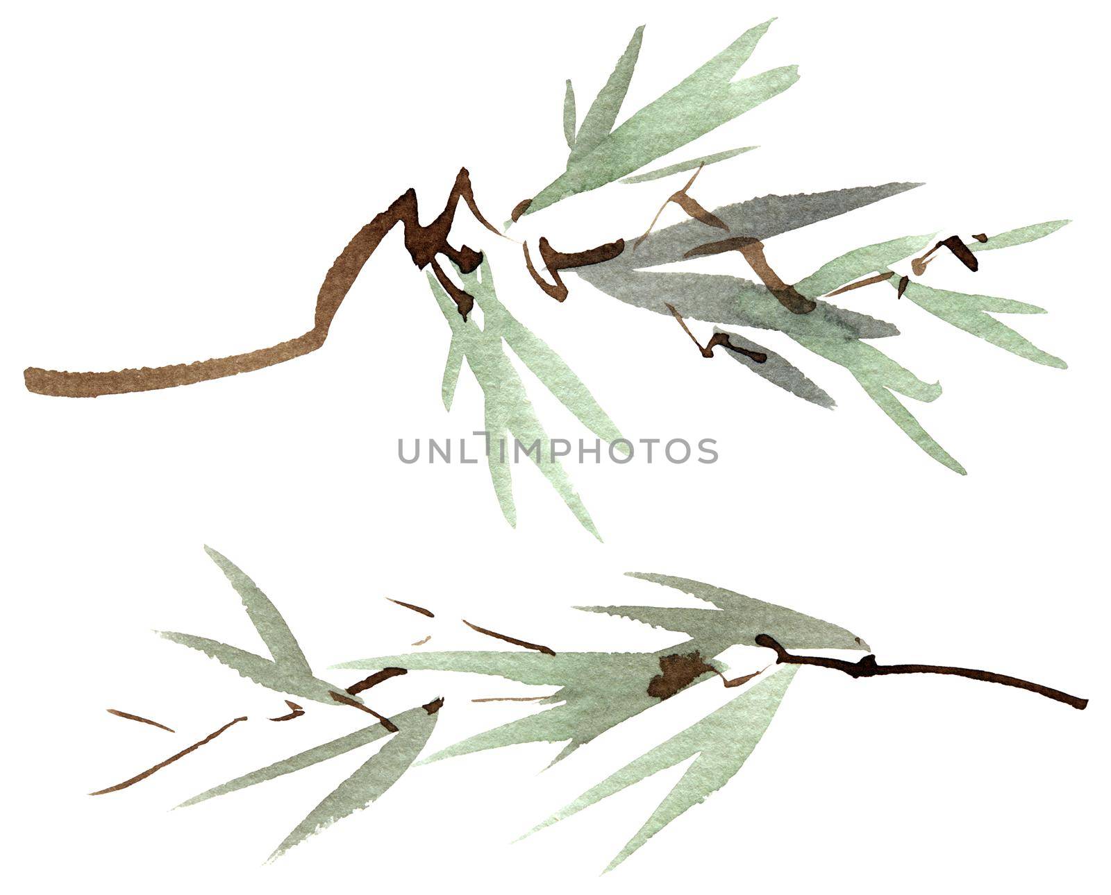 Watercolor and ink illustration of tree leaves - set of branches on white background. Oriental traditional painting in style sumi-e or gohua.