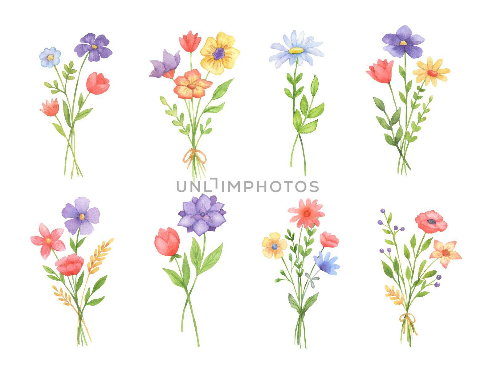 Watercolor illustrations of bouquet of flowers. Set of hand drawn wildflowers. Spring cute flowers with leaves by ElenaPlatova