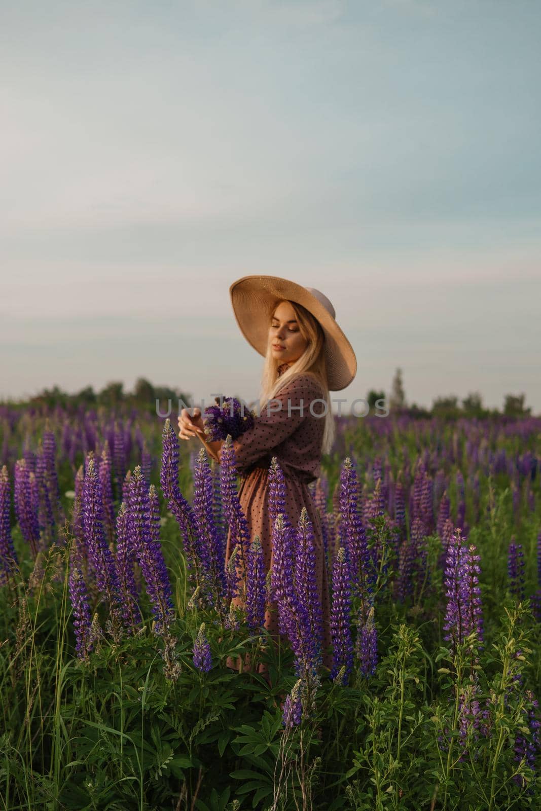 A beautiful woman in a straw hat walks in a field with purple flowers. A walk in nature in the lupin field.