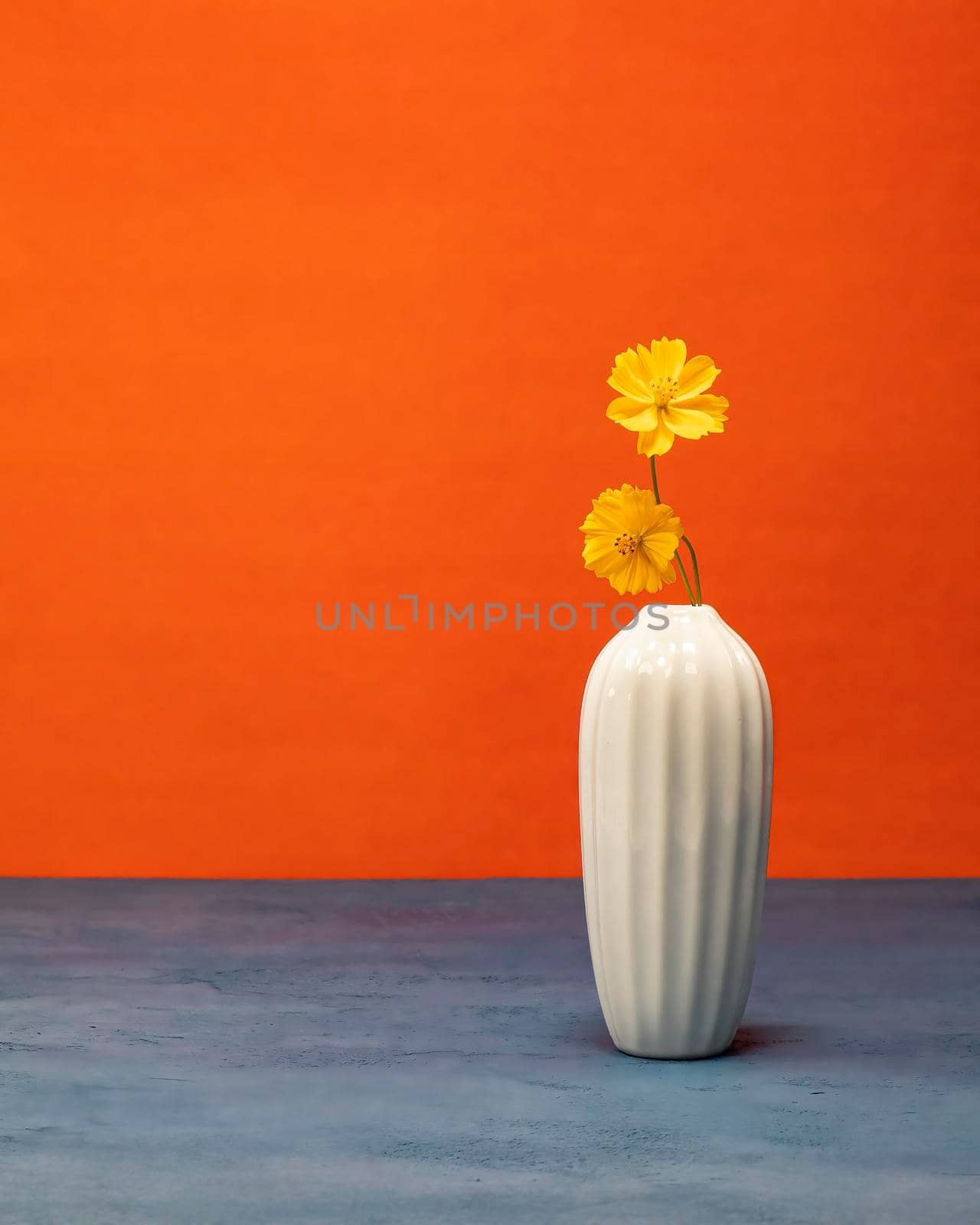 Minimalist still life with yellow wildflowers in a white vase with blue base and orange background.