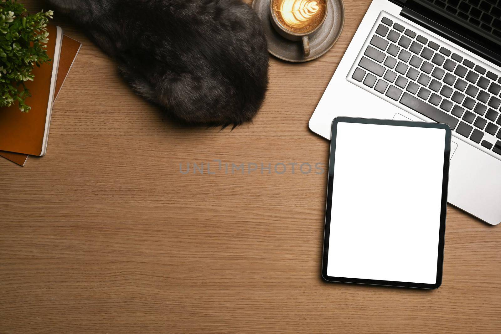 Above view mock up digital tablet, laptop computer and cat on wooden table. by prathanchorruangsak