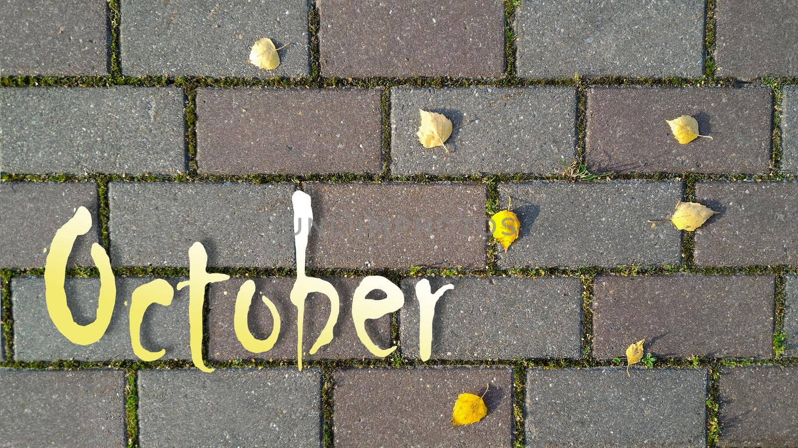 Yellow and white inscription October on background of gray brick road with sprouted grass between it and yellow autumn leaves. Top view, flat lay