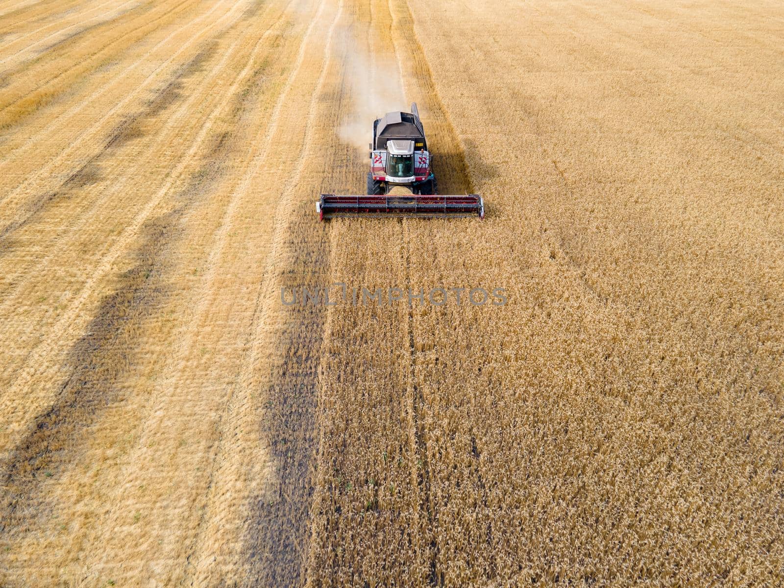 Combines mow wheat in the field.Agro-industry.Combine Harvester Cutting on wheat field.Machine harvest wheat.Harvesting of grain crops.Harvesting wheat,oats and barley in fields,ranches and farmlands