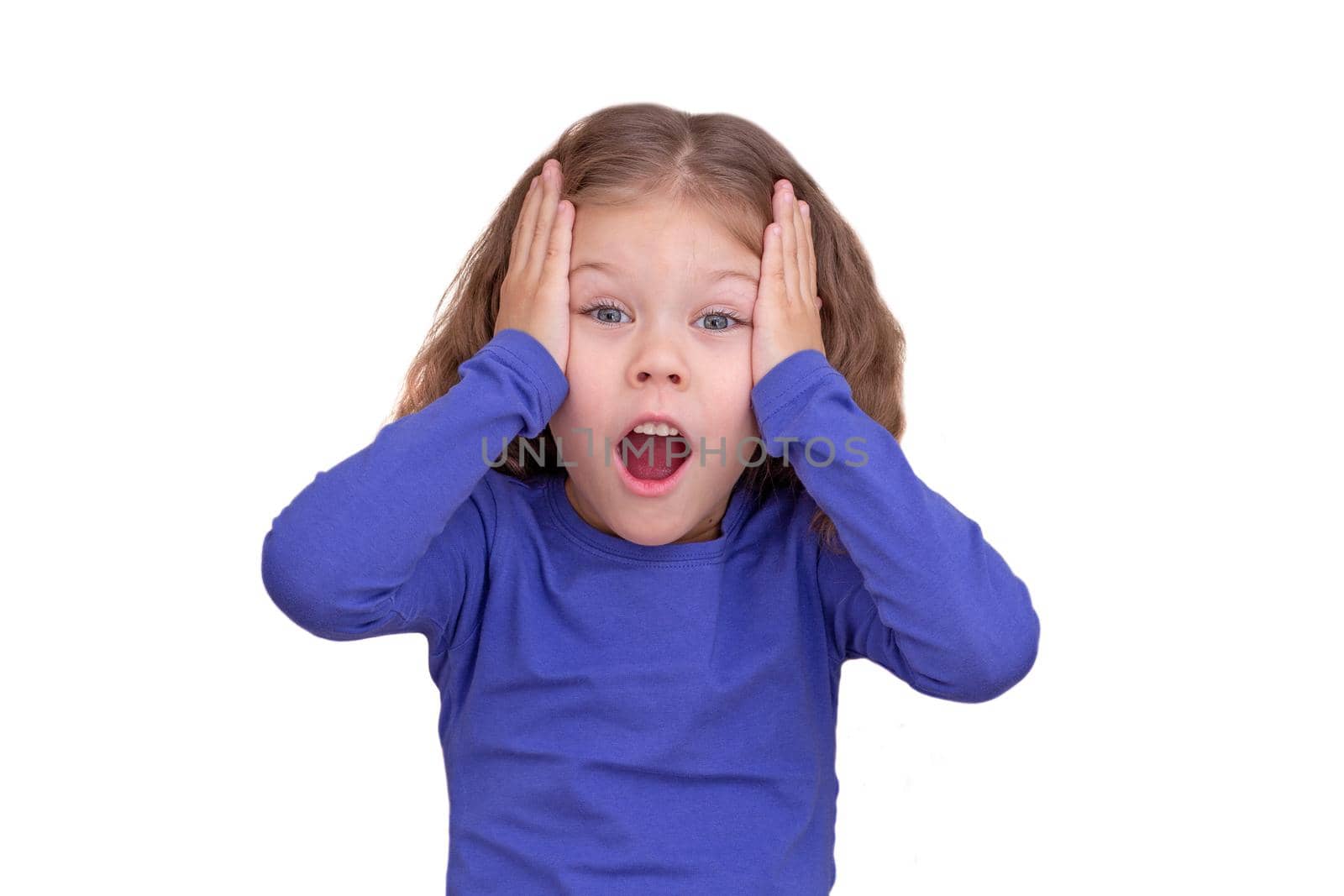 Shocked child kid holding hands on head temples because of surprising, isolated on white background looking at camera waist up caucasian little girl of 5 years in blue