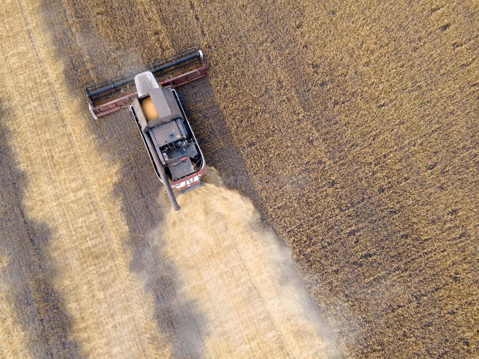 Combines mow wheat in the field.Agro-industry.Combine Harvester Cutting on wheat field.Machine harvest wheat.Harvesting of grain crops.Harvesting wheat,oats and barley in fields,ranches and farmlands