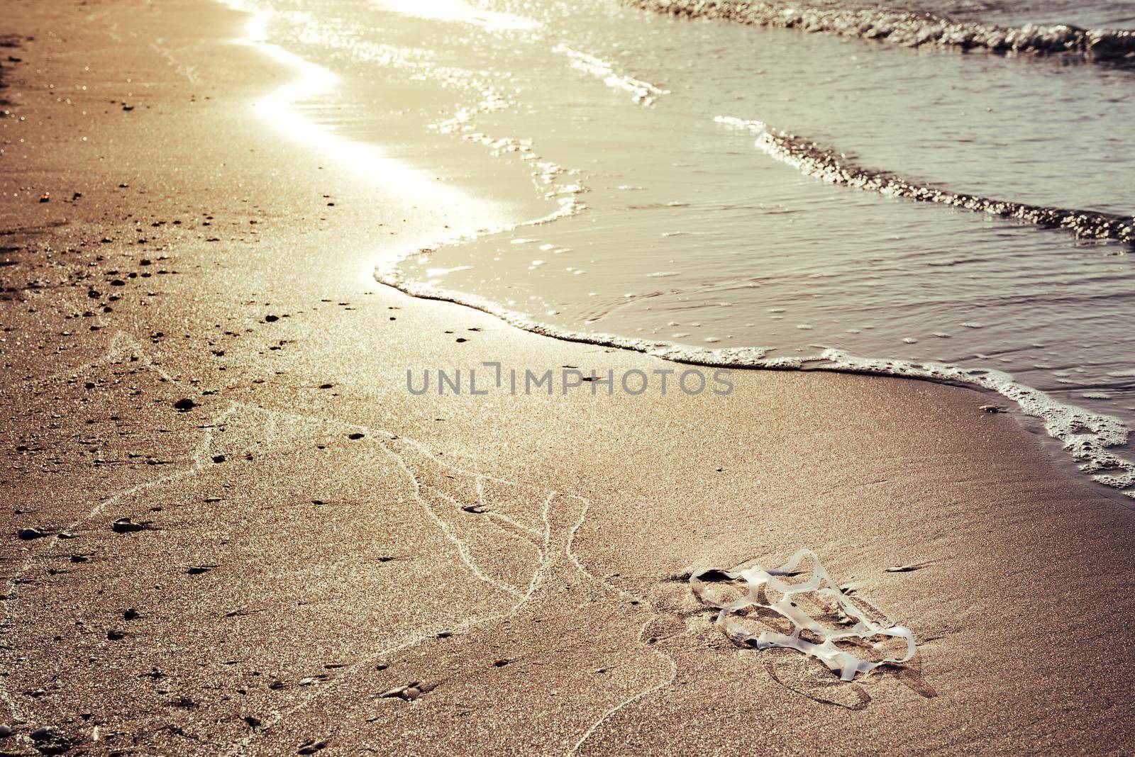 background of a plastic rings lies on the shore of the beach at sunset and pollutes the sea and the marine life, concept of pollution control of the oceans by plastic, copy space for text