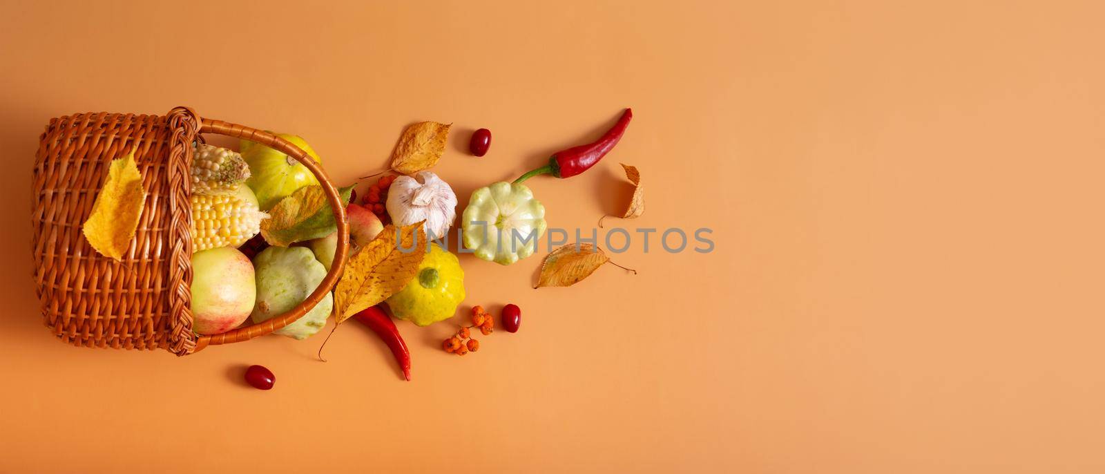 Autumn banner with harvest basket with corn, apples, zucchini and peppers on a orange background top view