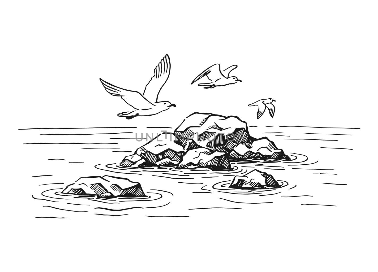 Landscape, sea, rocks, seagulls. Hand drawn illustration