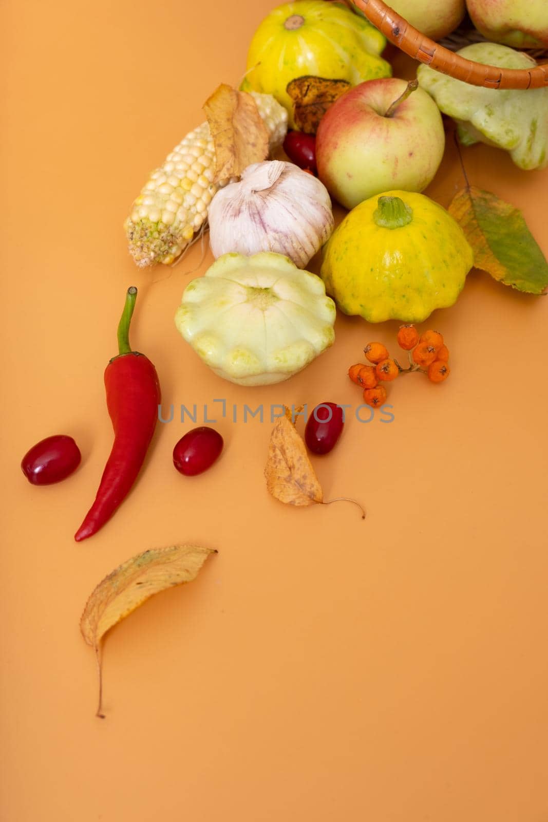 Autumn harvest basket with corn, apples, zucchini and peppers on a orange background. Harvest concept.