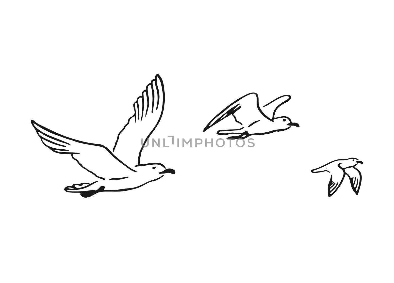 Set of flying seagulls. Hand drawn illustration converted to vector.