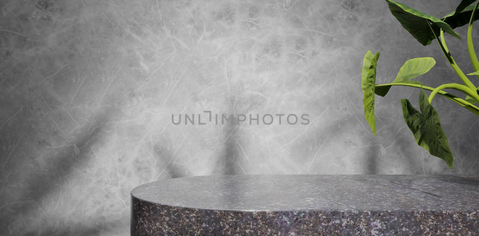 Black Marble Terrazo Texture Podium Display With Leaf Shadow And Green Plant 3D Illustration