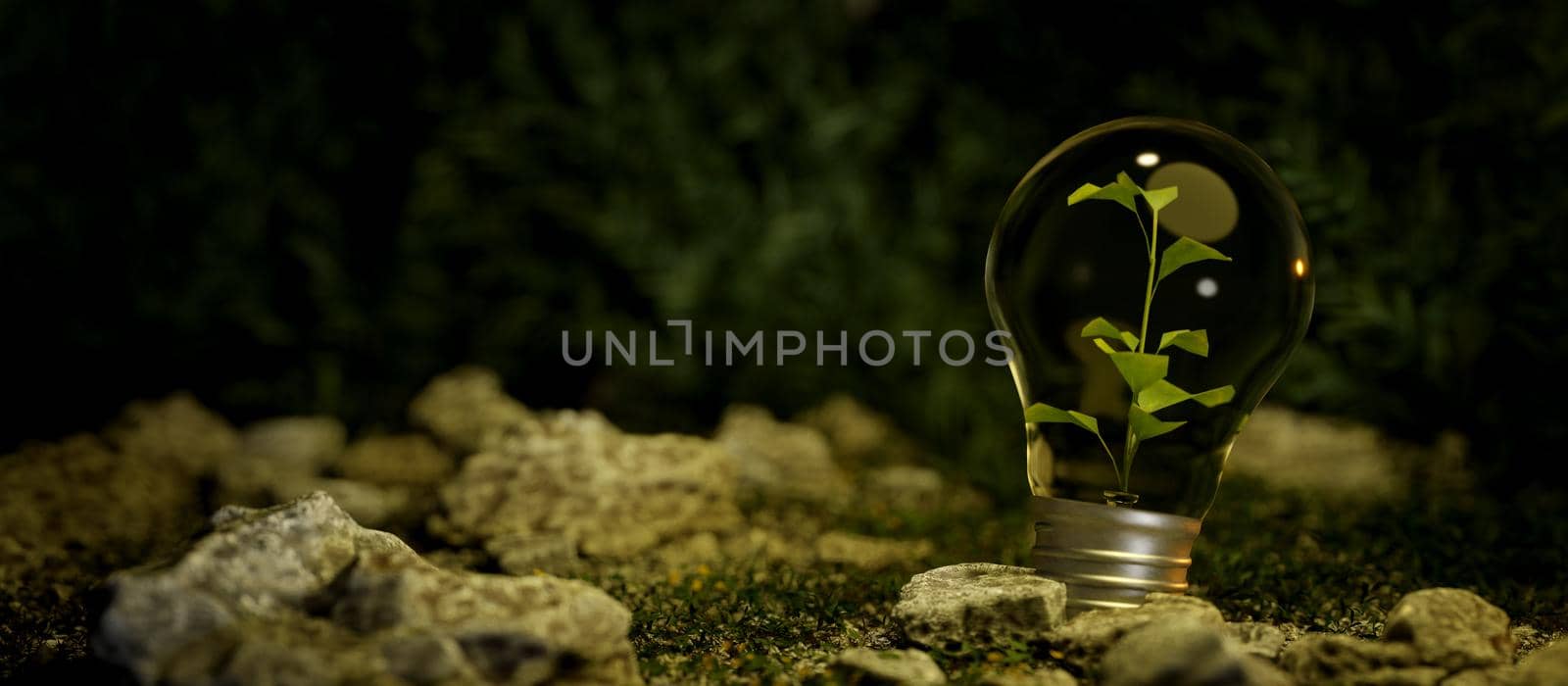 A light bulb with a plant inside on rock and nature. In a clean energy concept. Sustainable energy. energy saving in nature and renewable energy background