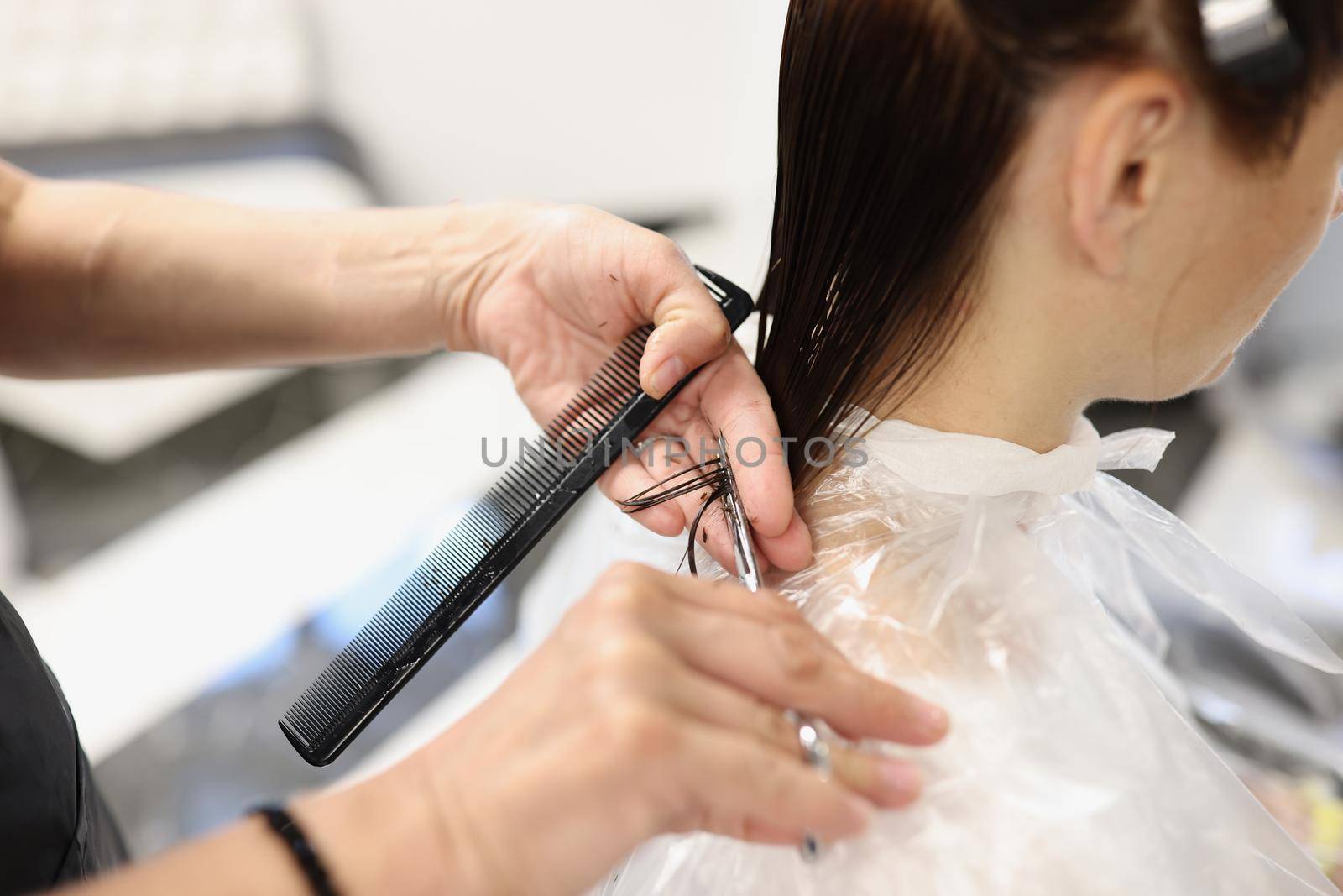 Hairdresser cuts cut ends of hair in beauty salon. Wet hair and hair care