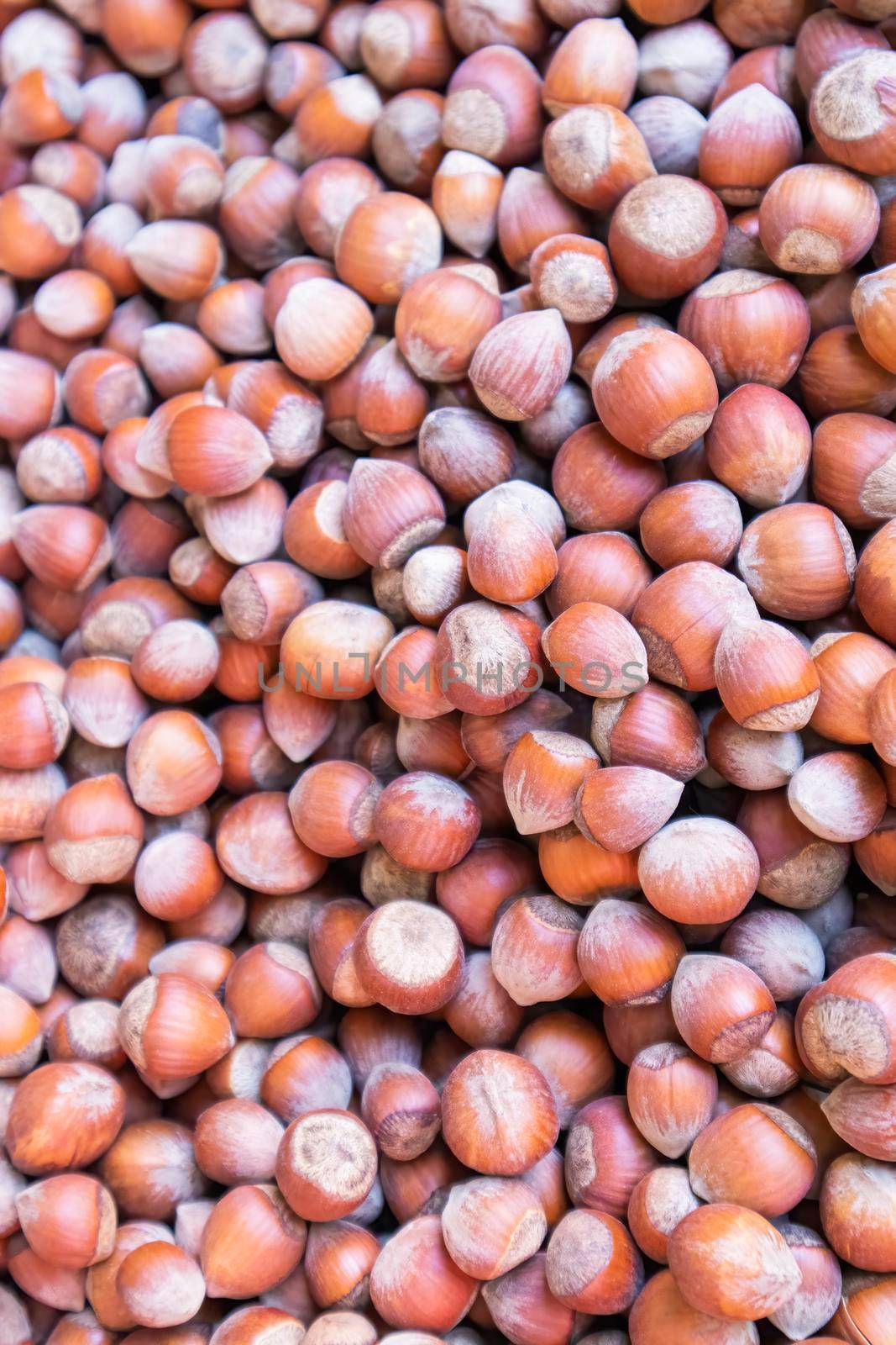 ripe hazelnut hazelnut fruits close-up as background. photo