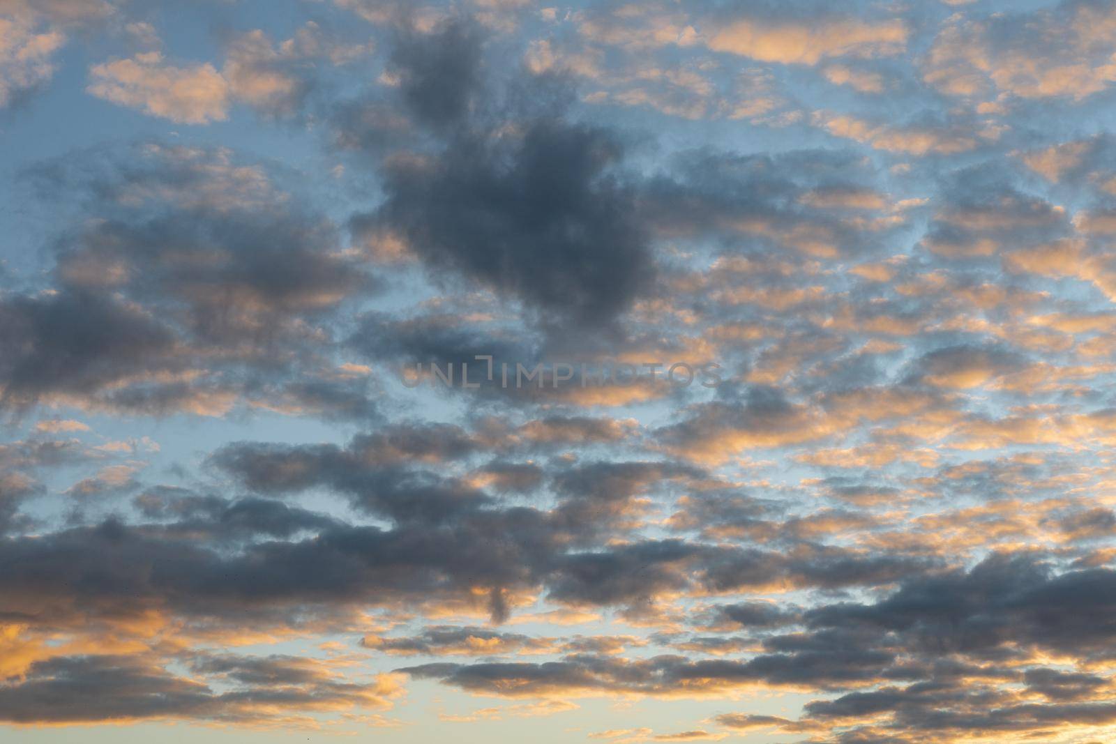 Sky full of cumulus clouds and golden sunlight, nature abstract background