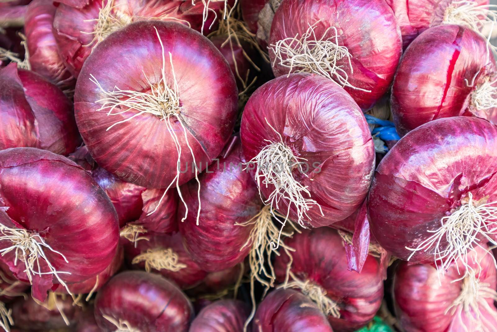 fruits of red onion in close-up as a background by roman112007