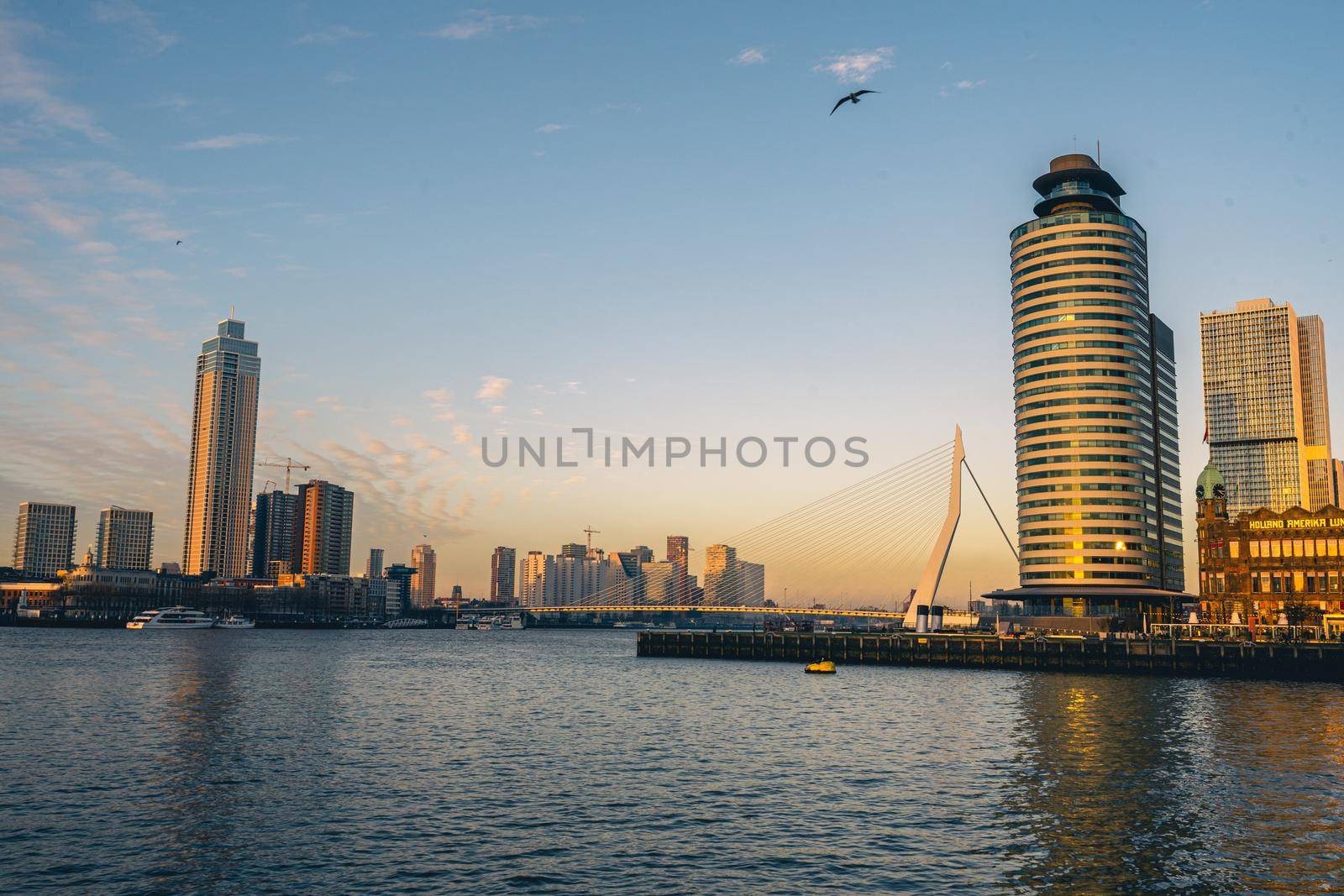 skyline of Rotterdam on 11 January 2022.