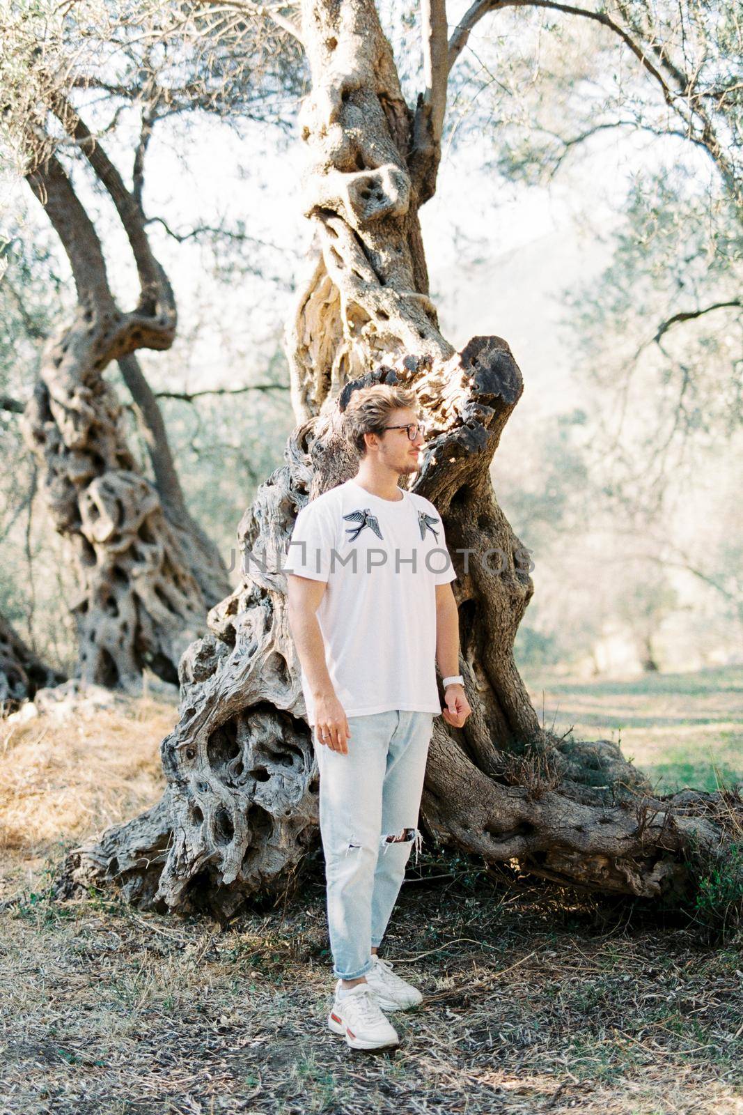 Young man with glasses stands sideways near a tree in an olive grove. High quality photo