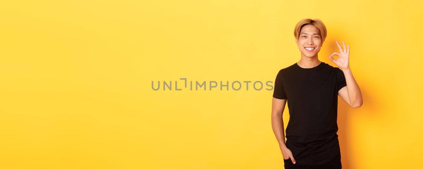 Portrait of satisfied and happy asian smiling guy, showing okay gesture in approval, praising good work, yellow background by Benzoix