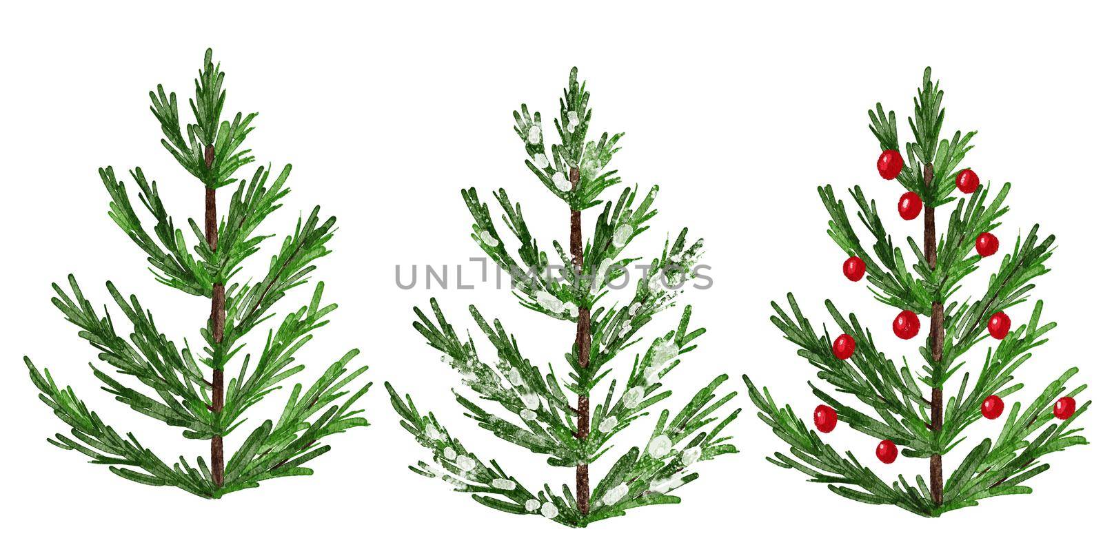 Watercolor hand drawn illustration of Christmas tree. Winter new year evergreen fir pine spruce plant. December season celebration design, holiday party print for invitations cards, isolated on white background. by Lagmar