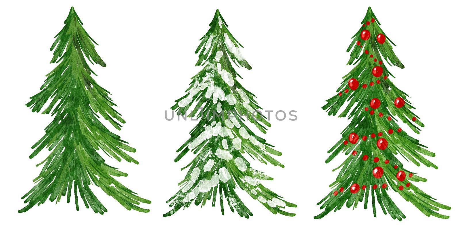 Watercolor hand drawn illustration of Christmas tree. Winter new year evergreen fir pine spruce plant. December season celebration design, holiday party print for invitations cards, isolated on white background